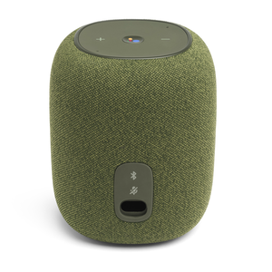 JBL Link Music - Green - Wi-Fi speaker - Back